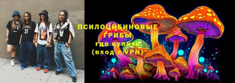 площадка какой сайт  Тюмень  Галлюциногенные грибы Psilocybe  закладки 